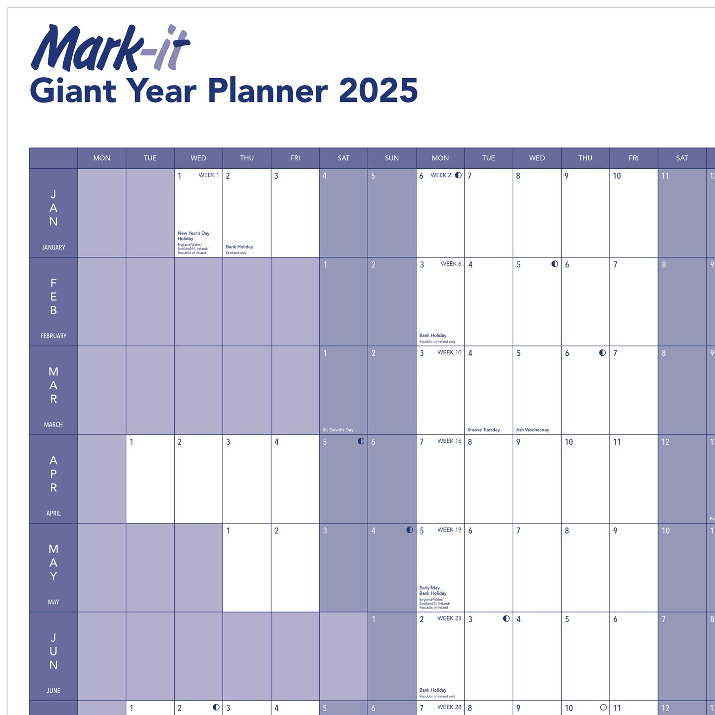 GIANT 2025 YEARLY WALL PLANNER - MARK IT